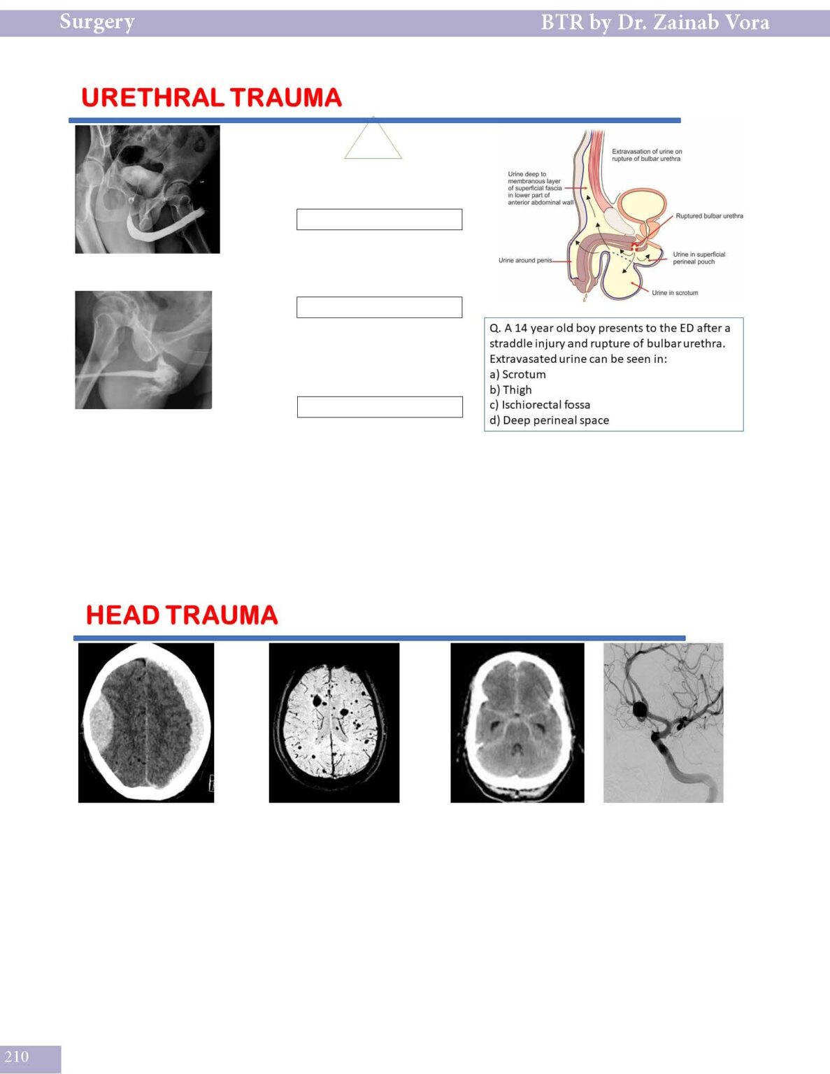 BTR Workbook By Dr. Zainab Vora - Cerebellum Academy