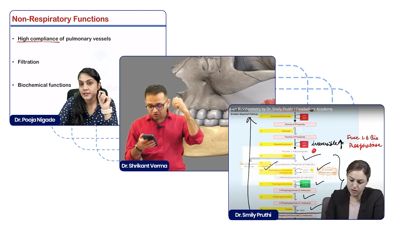 First Prof Faculty Live Sessions Image